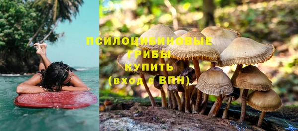 хмурый Покровск