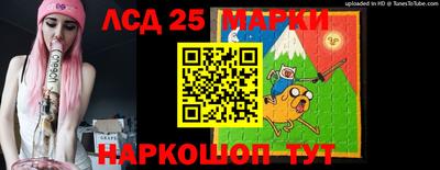 гидропоника Нальчик
