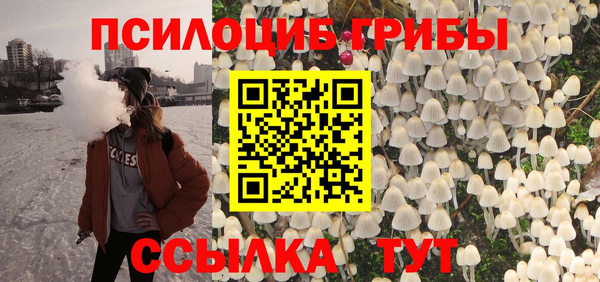 Псилоцибиновые грибы мухоморы Искитим