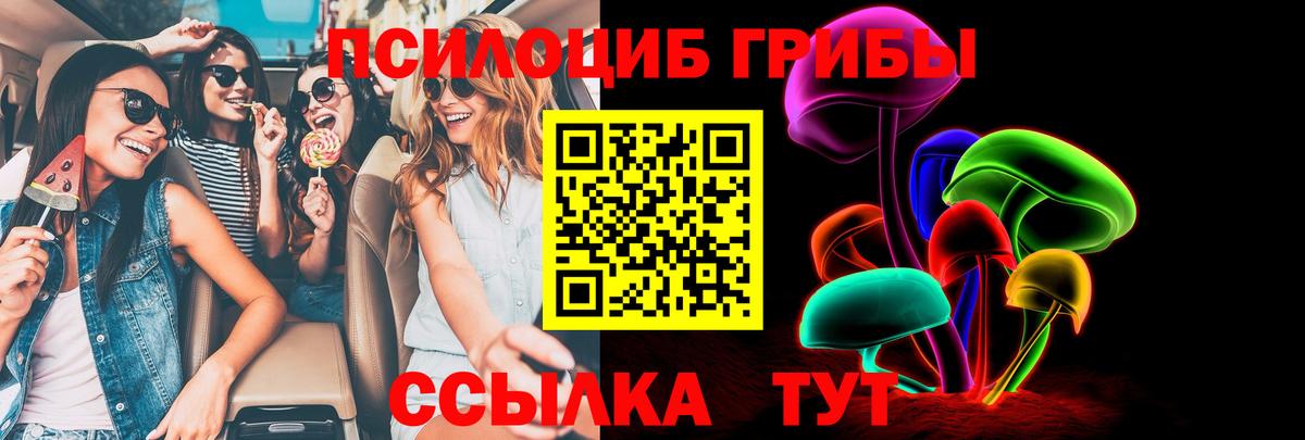 Искитим  Галлюциногенные грибы Magic Shrooms  Вход с VPN  Псилоцибиновые грибы GOLDEN TEACHER 